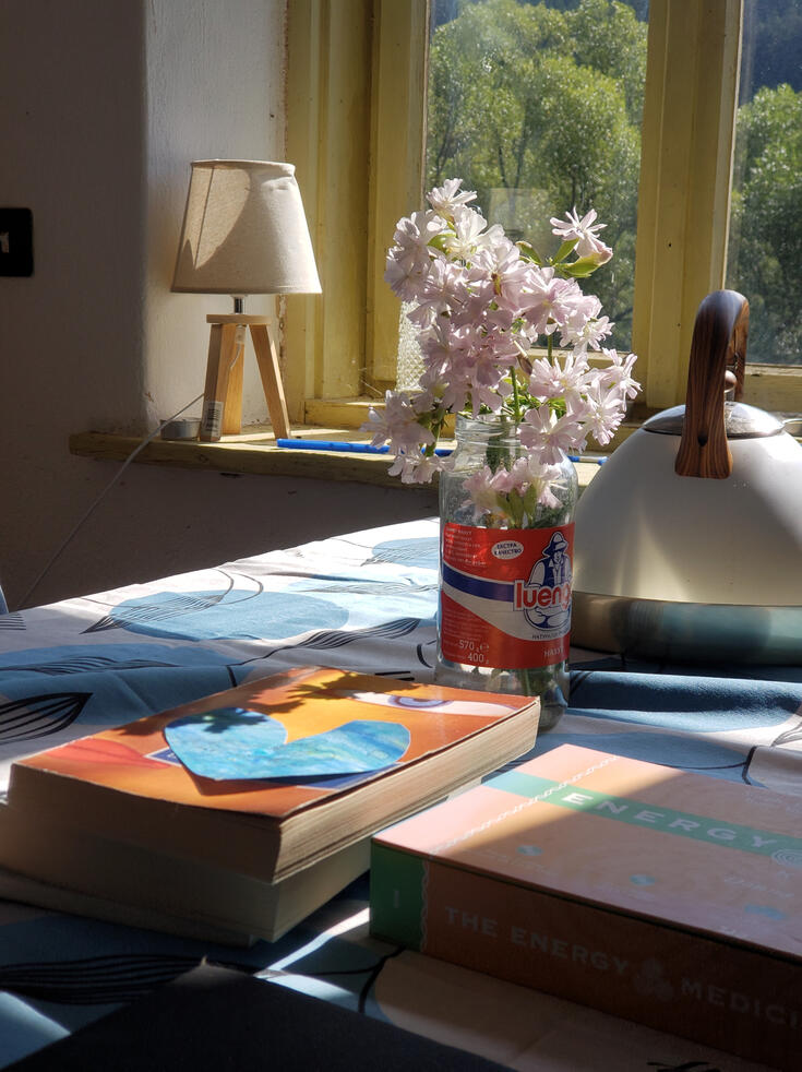 Sun and flowers in the kitchen